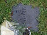 image of grave number 948191